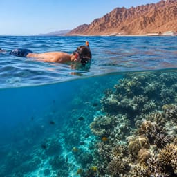 Snorkeling Dahab