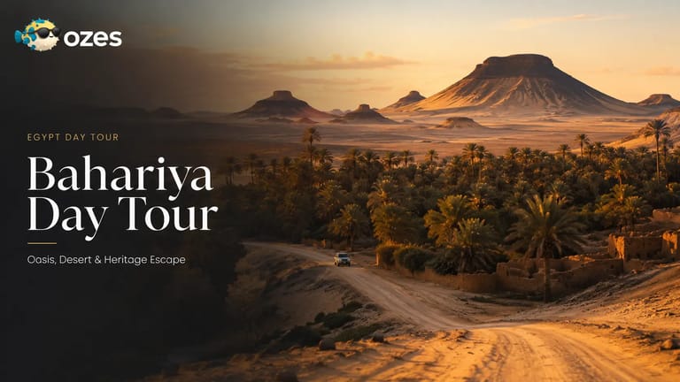 Bahariya Day Tour from Cairo